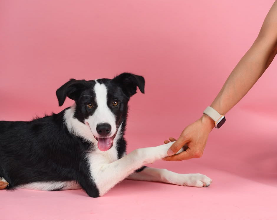 Nail trim