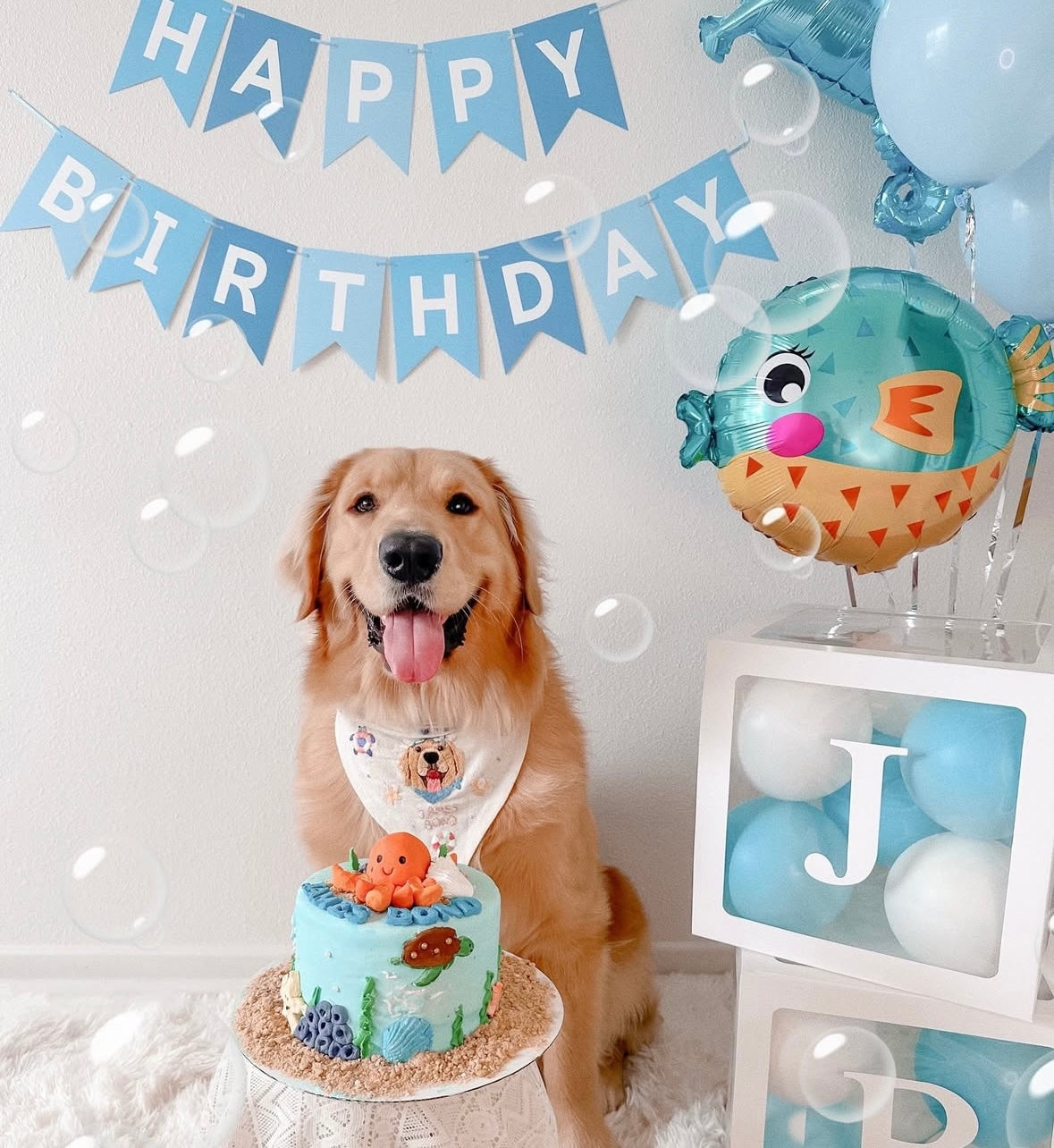 Dogtown Bakery Dog Parties photo 1 in Kailua