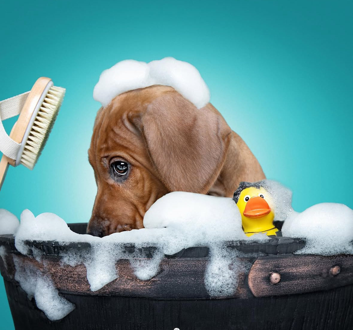 Bath & Blowout In-Between Special