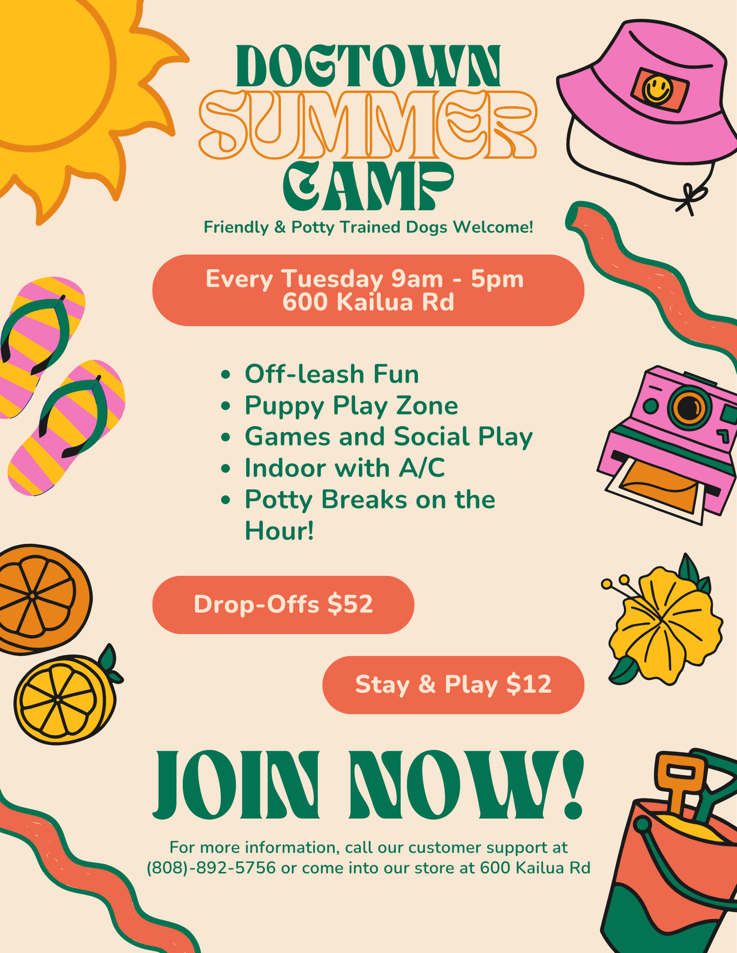 Dogtown Summer Camp!