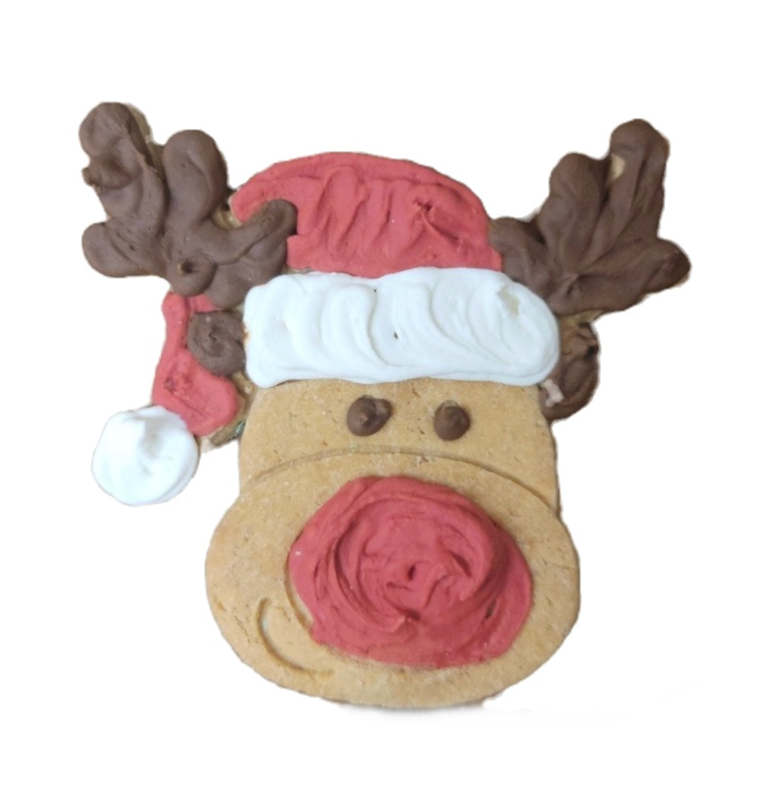 Christmas Decorative Cookie