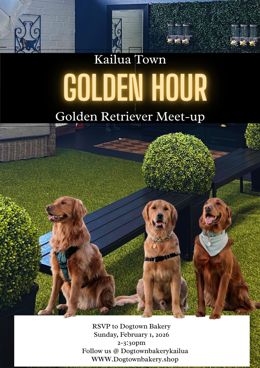 Dog Friendly Events Done Right