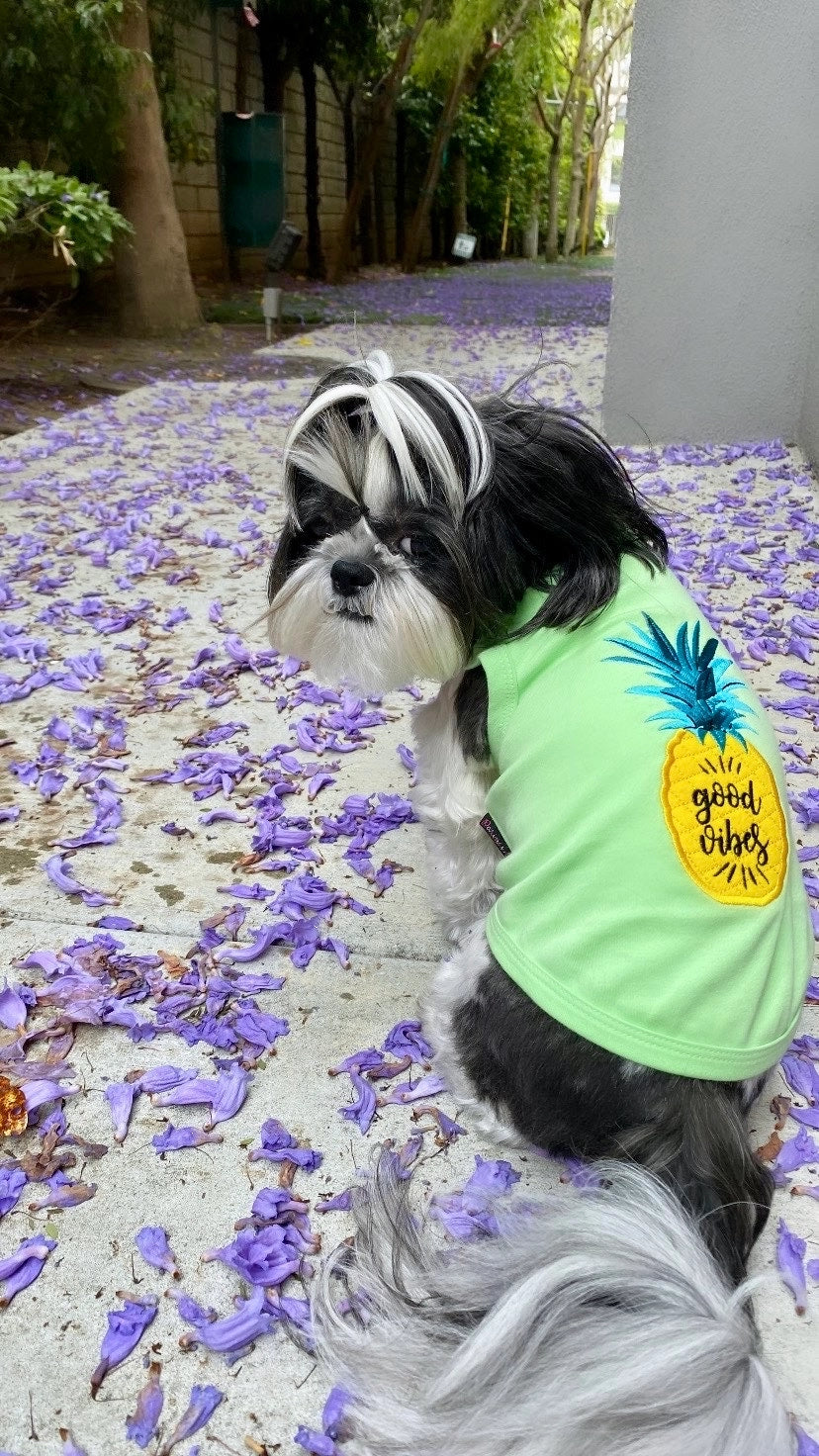 Pineapple T Shirt
