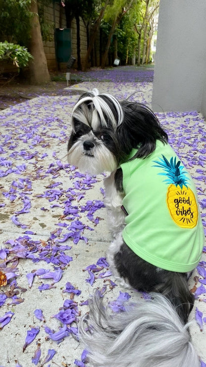 Pineapple T Shirt