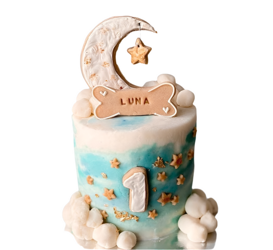 Starry Night Cake