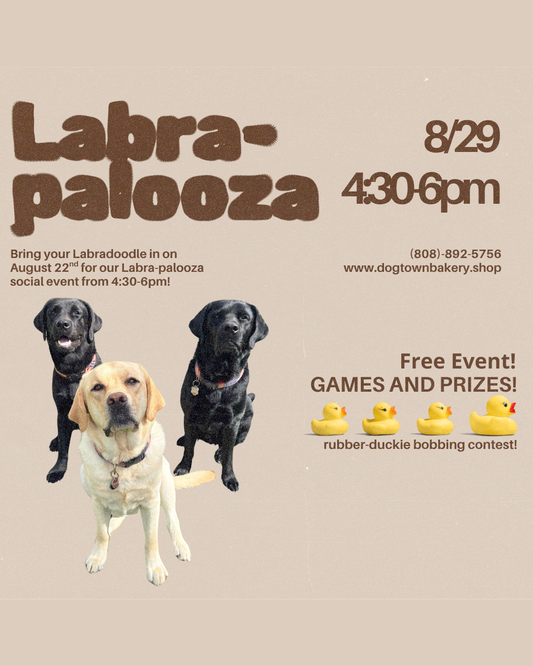 8/29 Labra-palooza! RSVP