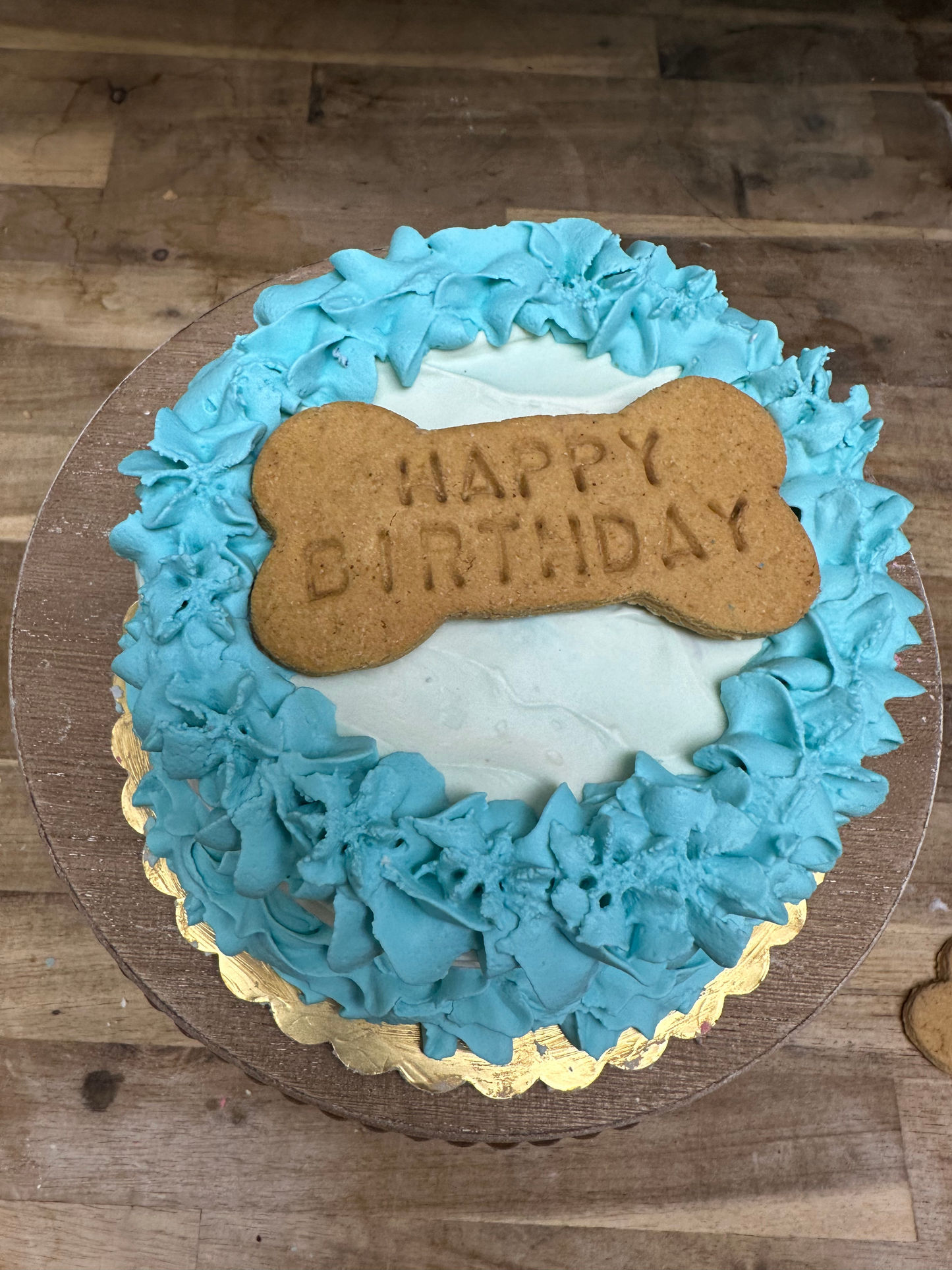 Rustic Baby Blue - Dogtown Bakery