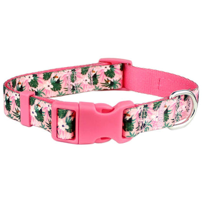 Tropical Toucans Collar – Fun & Vibrant Pet Accessory