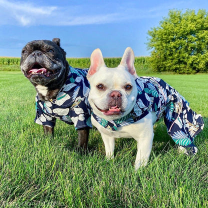 Palm Leaves Dress – Summer-Ready Dog Clothing