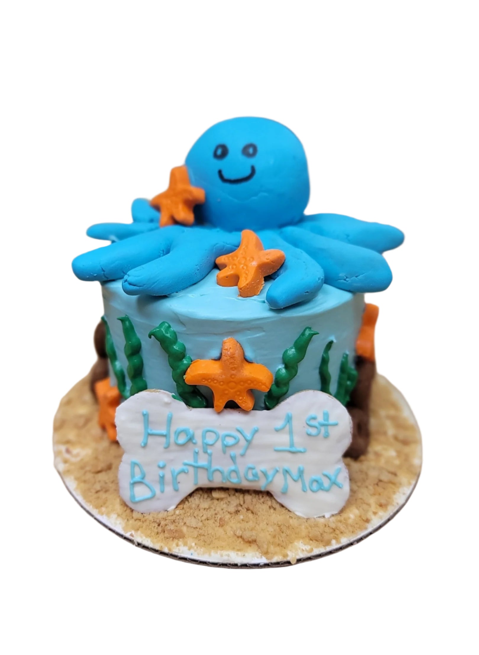 Octopus Cake - Dogtown Bakery