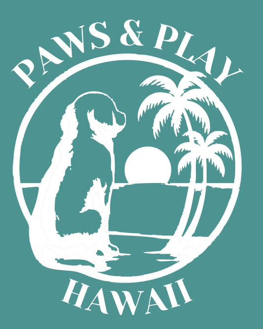 1 Hour of Play Time For 1 Lucky Dog Paws & Play Hawaii