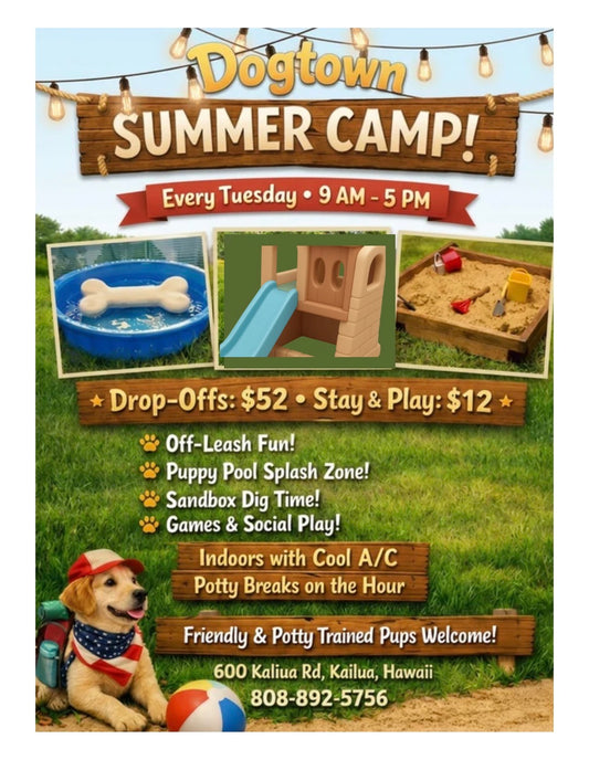 Dogtown Summer Camp!