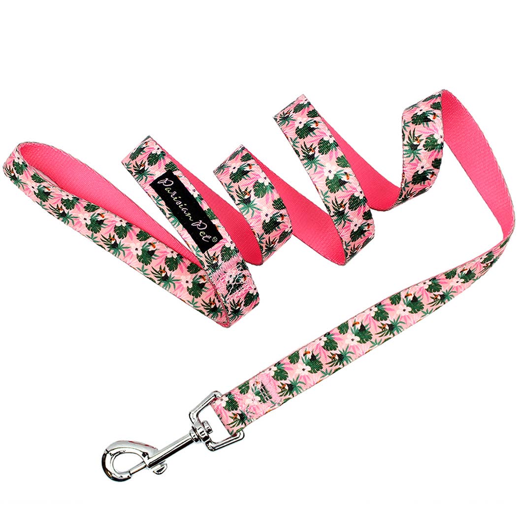 Tropical Toucans Collar – Fun & Vibrant Pet Accessory