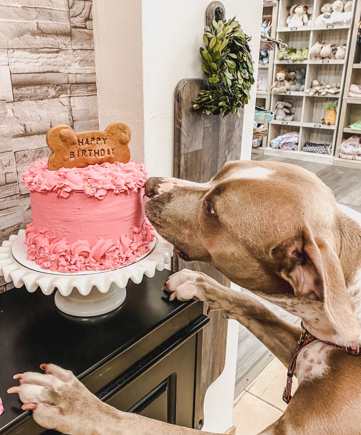 Pretty in Pink - Dogtown Bakery