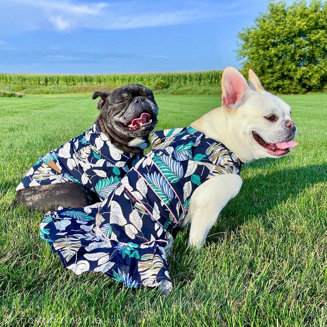Palm Leaves Dress – Summer-Ready Dog Clothing