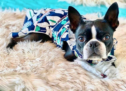 Palm Leaves Dress – Summer-Ready Dog Clothing