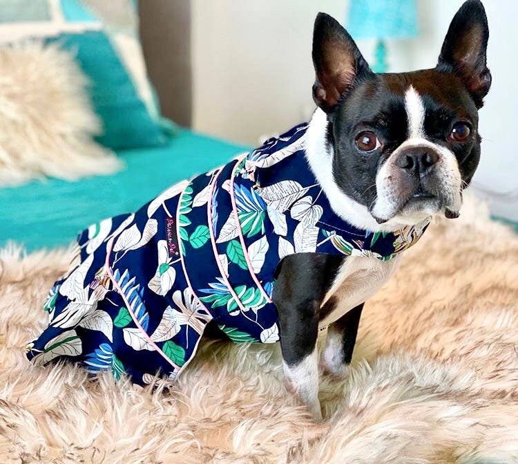 Palm Leaves Dress – Summer-Ready Dog Clothing