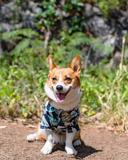 Palm Leaves Camp Shirt – Tropical Dog Shirt for Summer