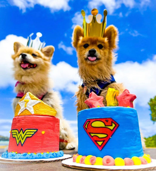 Super Hero - Dogtown Bakery